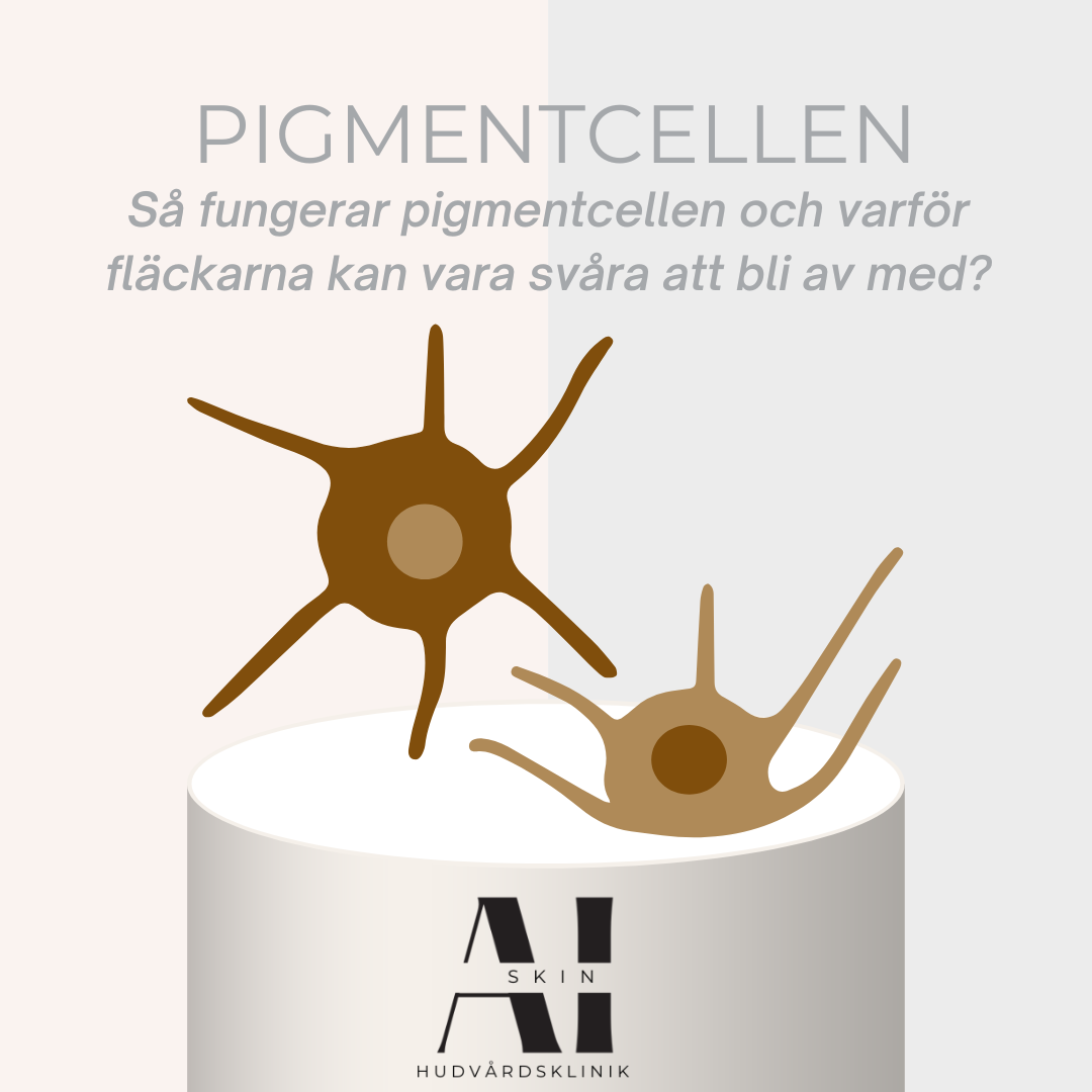Fakta om pigmentcellen eller melanocyter